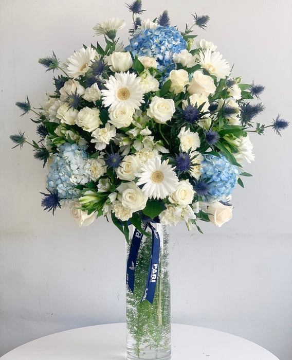 Cool Blue