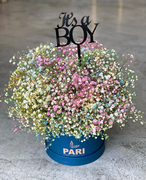Signature BabyBoy Rainbow