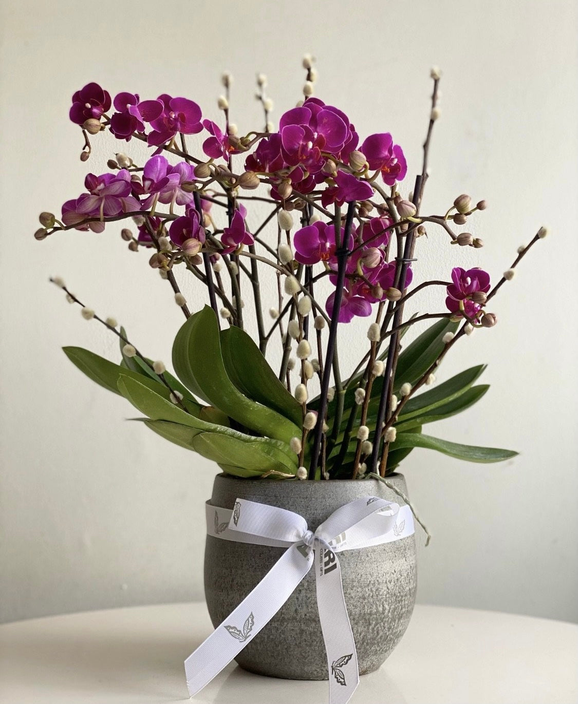 Houseplants