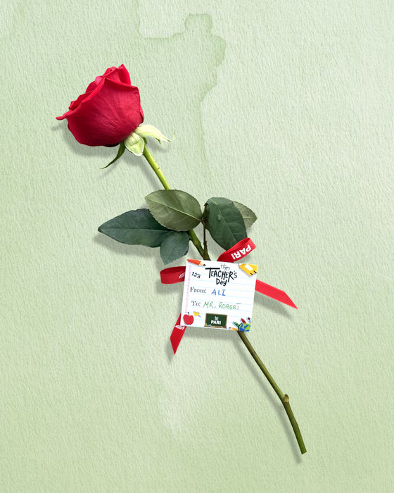 Teachers Rose