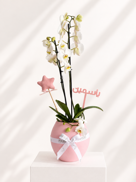 Girl Orchids