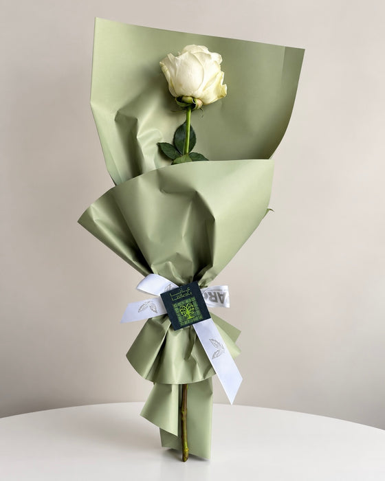 Saudi Rose