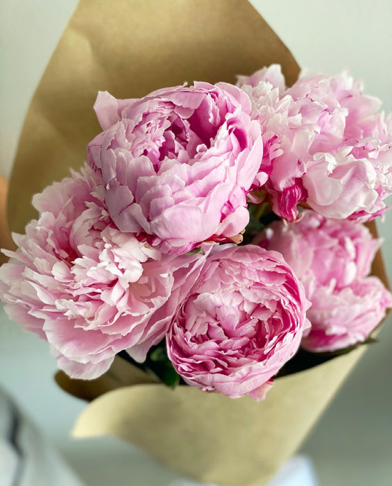 Weekly Peony Subscription