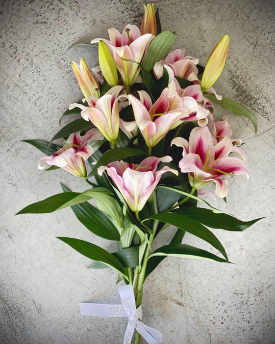 Lillies For Home