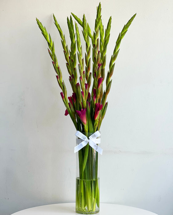 Gladiolus Vase